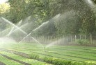 Mystery Baylandscaping-water-management-and-drainage-17.jpg; ?>